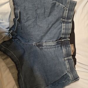 Torrid Classic Medium Blue Denim Shorts
